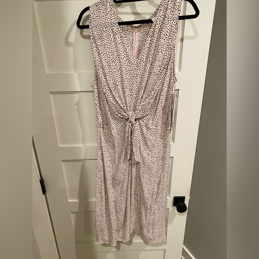 Chelsea28 Pale Pink and Black Midi Dress